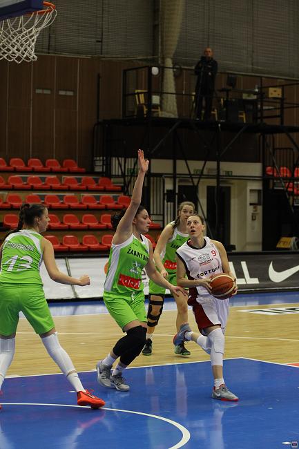 160303_zab_030.jpg