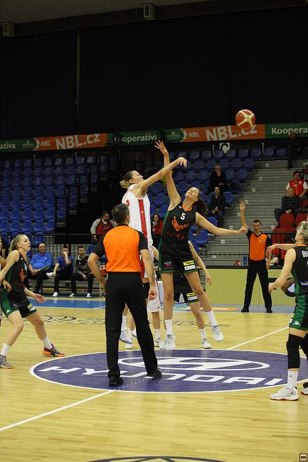 180121_zab_006.jpg