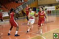 thn_180407_kp-t_030.jpg