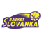 Basket Slovanka MB